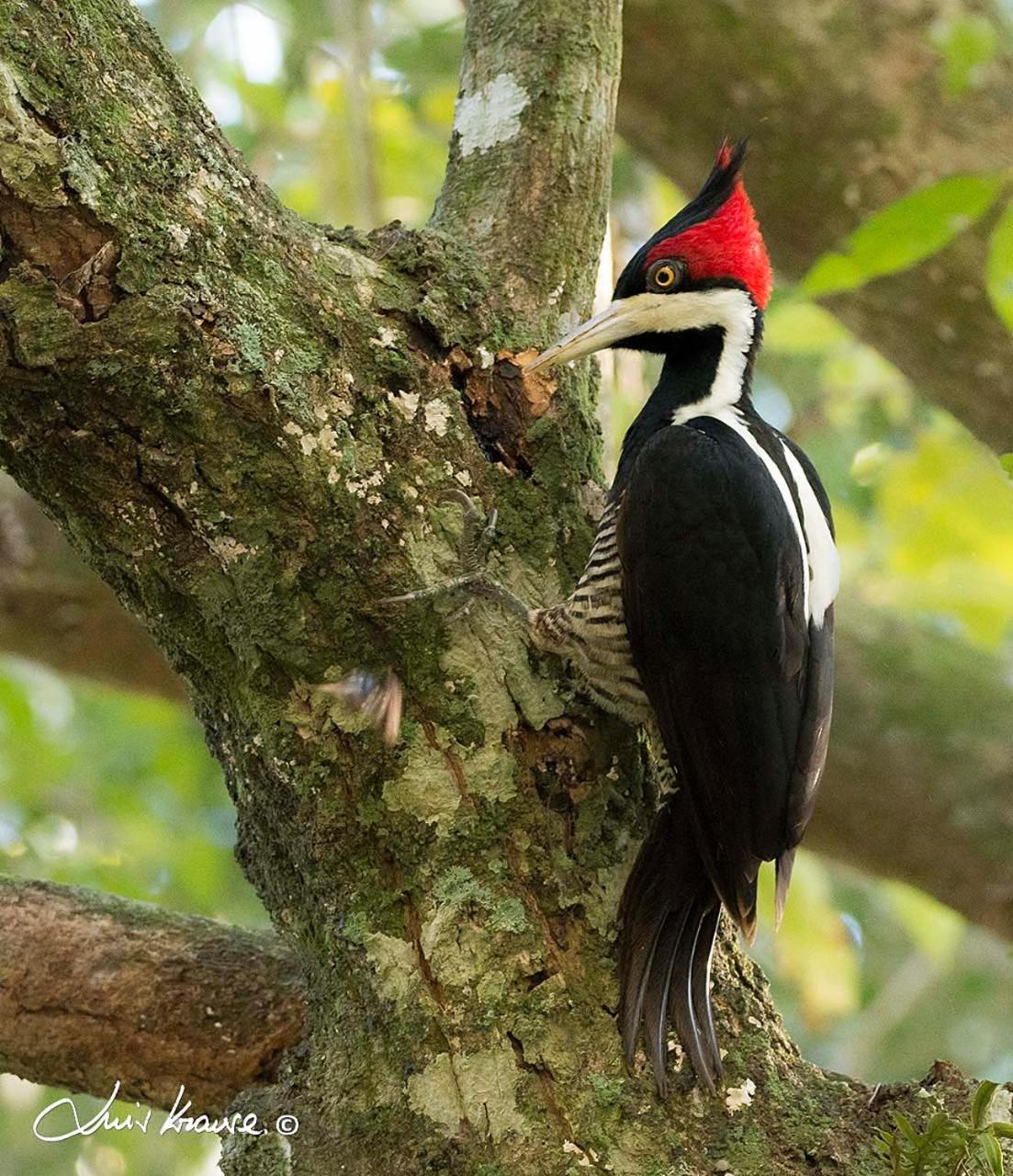O Canto Do Vale Trancoso Zewnętrze zdjęcie